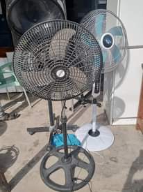 A picture of Vyote nauza