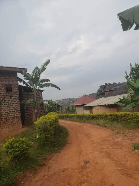 A picture of rental house in sale
