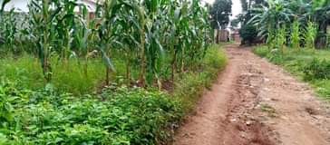 A picture of 50by110 at 37m Gayaza kizawula agreement