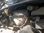A picture of TOYOTA HARRIY