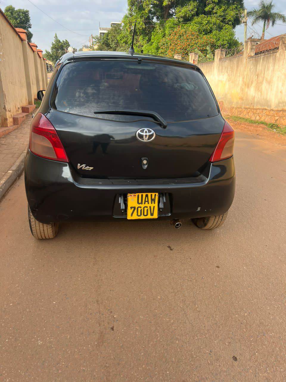 A picture of Vitz