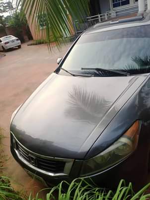 A picture of Eagle spirit