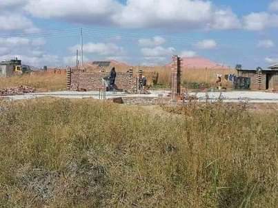 stands