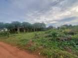 A picture of 100 by 100 land off airport rd benin city edo