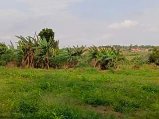 A picture of 25mMatugga kilyagonjja wakiso rd estate 10plots on sale Each plot