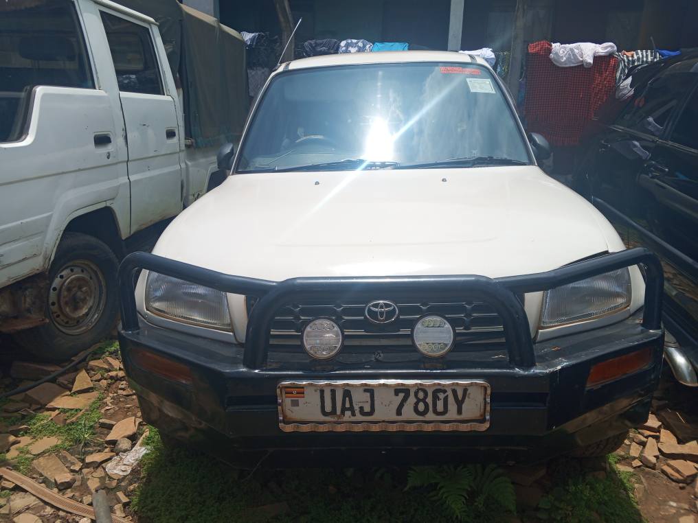 A picture of Rav4