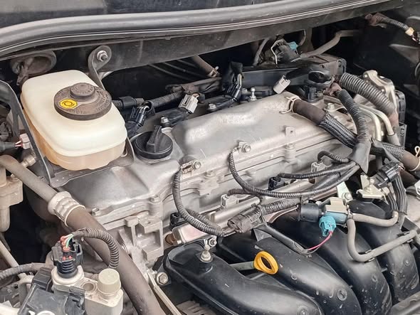 A picture of 1993 0789088659 0704247898 your best mechanic