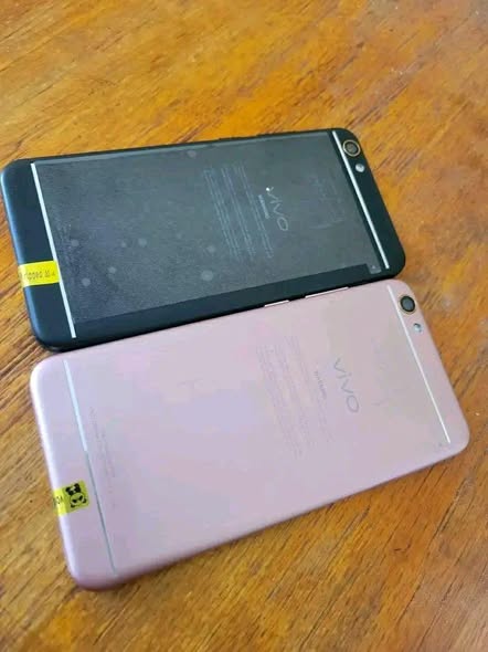 vivo