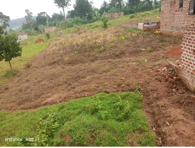 A picture of Land