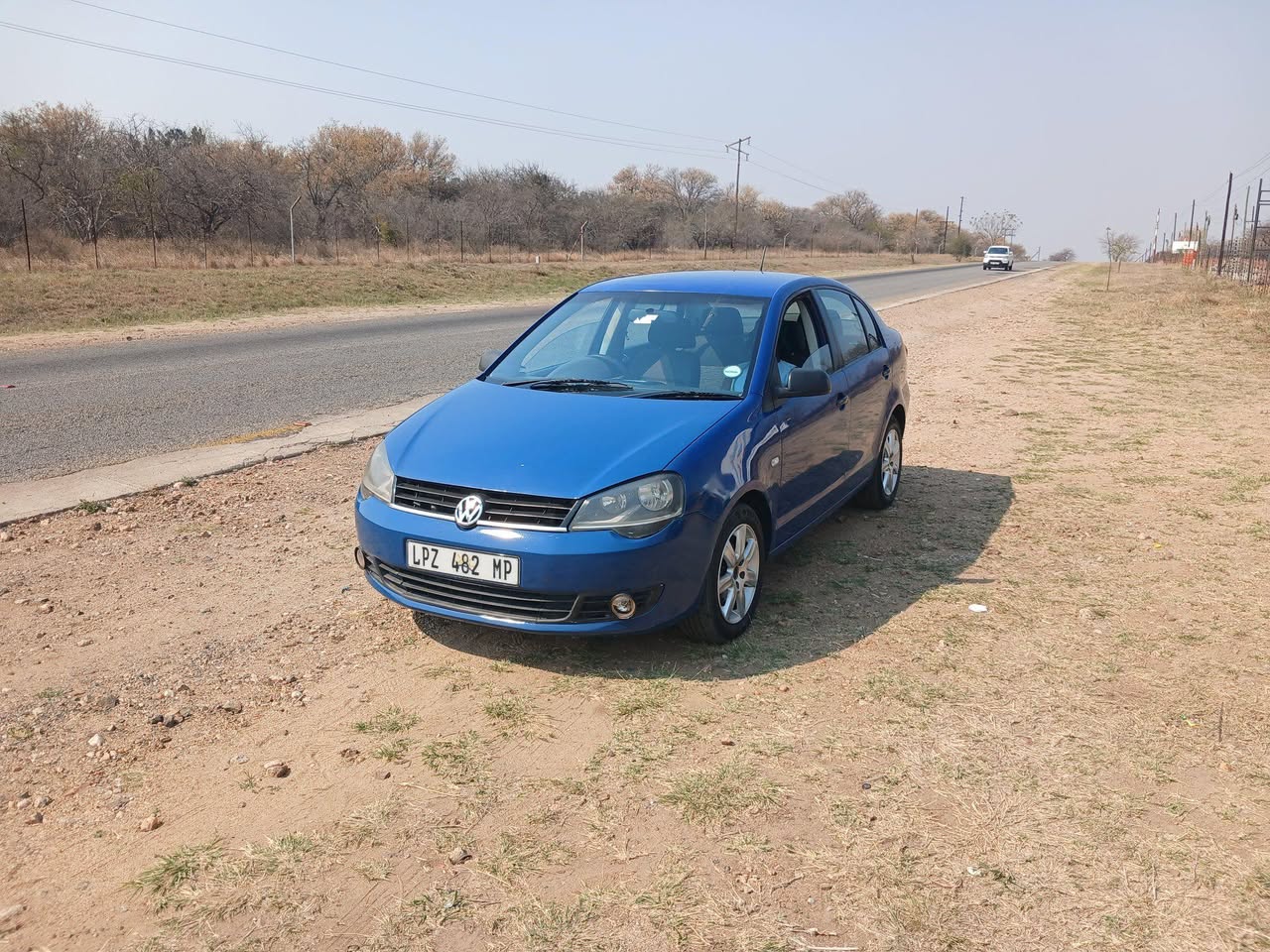 polo vivo