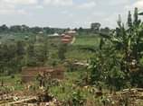 A picture of Busubuzi price Hot deal 3plots size 100by50ft with land title