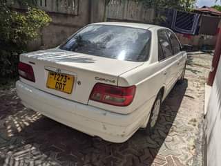 A picture of Vitz