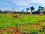 A picture of Plots start at 5m And above Nansana Jenina Estate