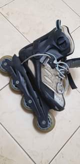 A picture of Skater