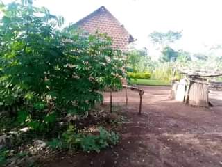 A picture of PLOT WITH HOUSE FOR SALE