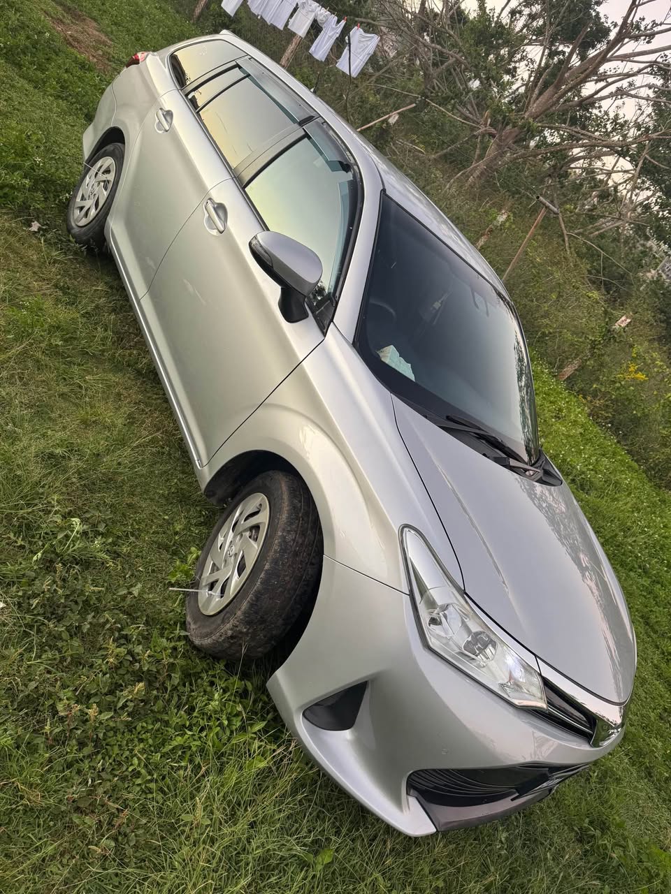 cars
