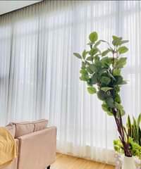 A picture of Curtains