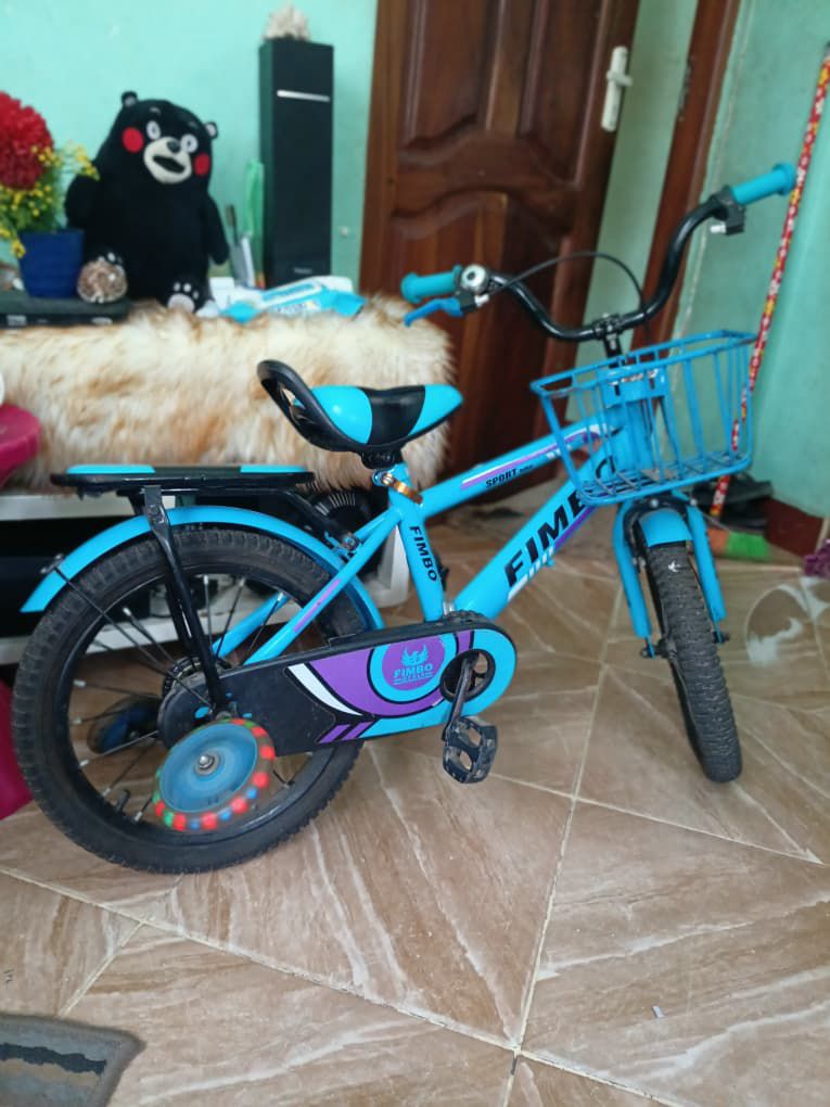 A picture of Kid Bicycle