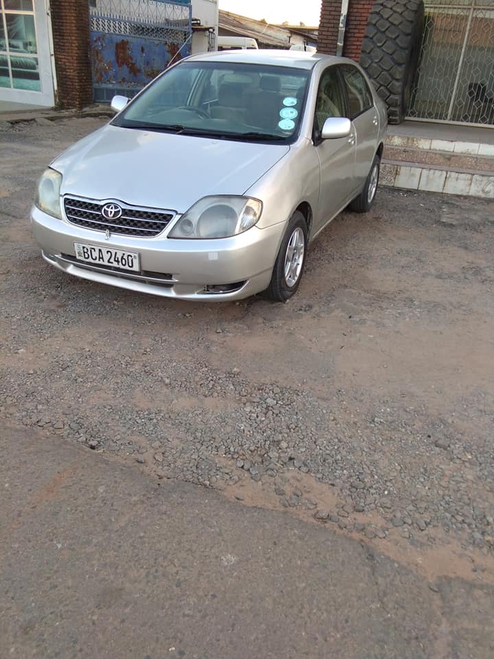 used toyota corolla