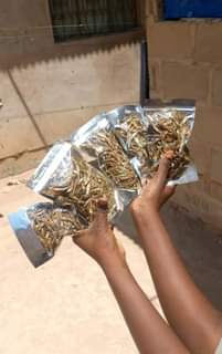 A picture of Dagaa watamu wa mwanza kuanzia 1000