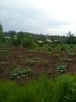 A picture of Hot Deal 100 Acres for sale in Lugazi with each