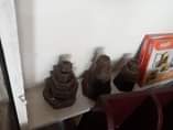 A picture of mizani