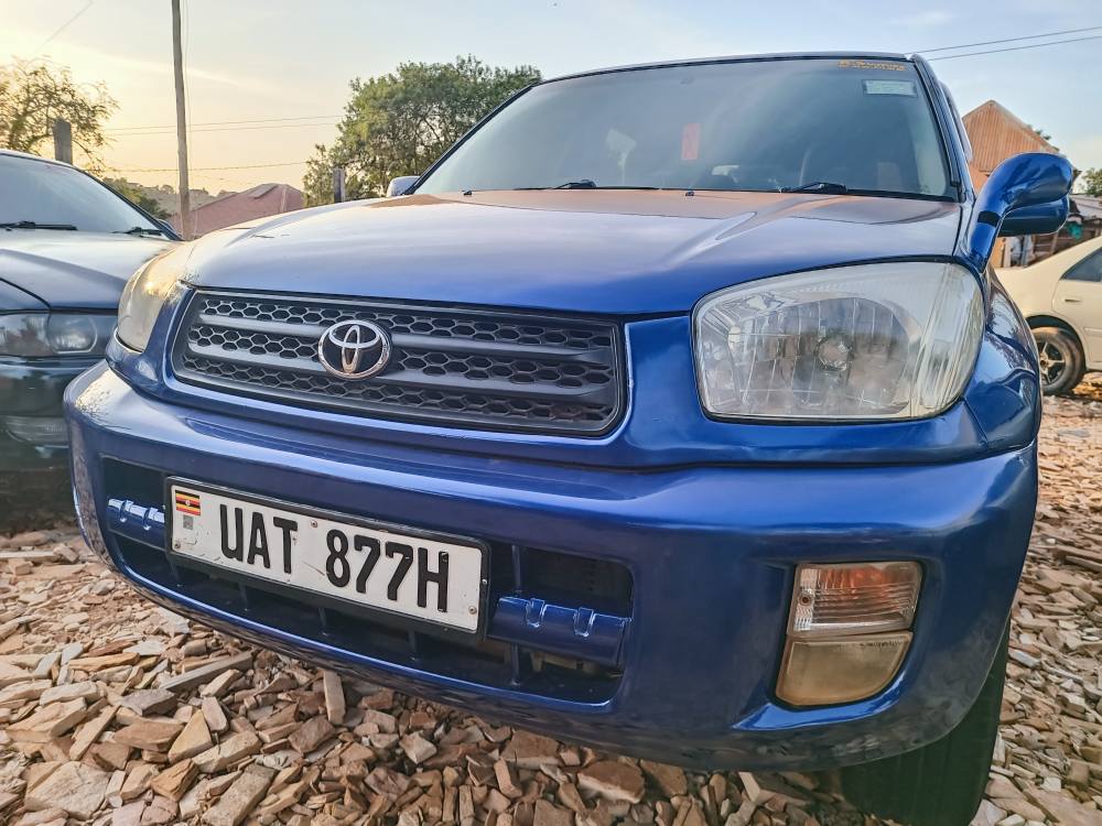 A picture of Rav4