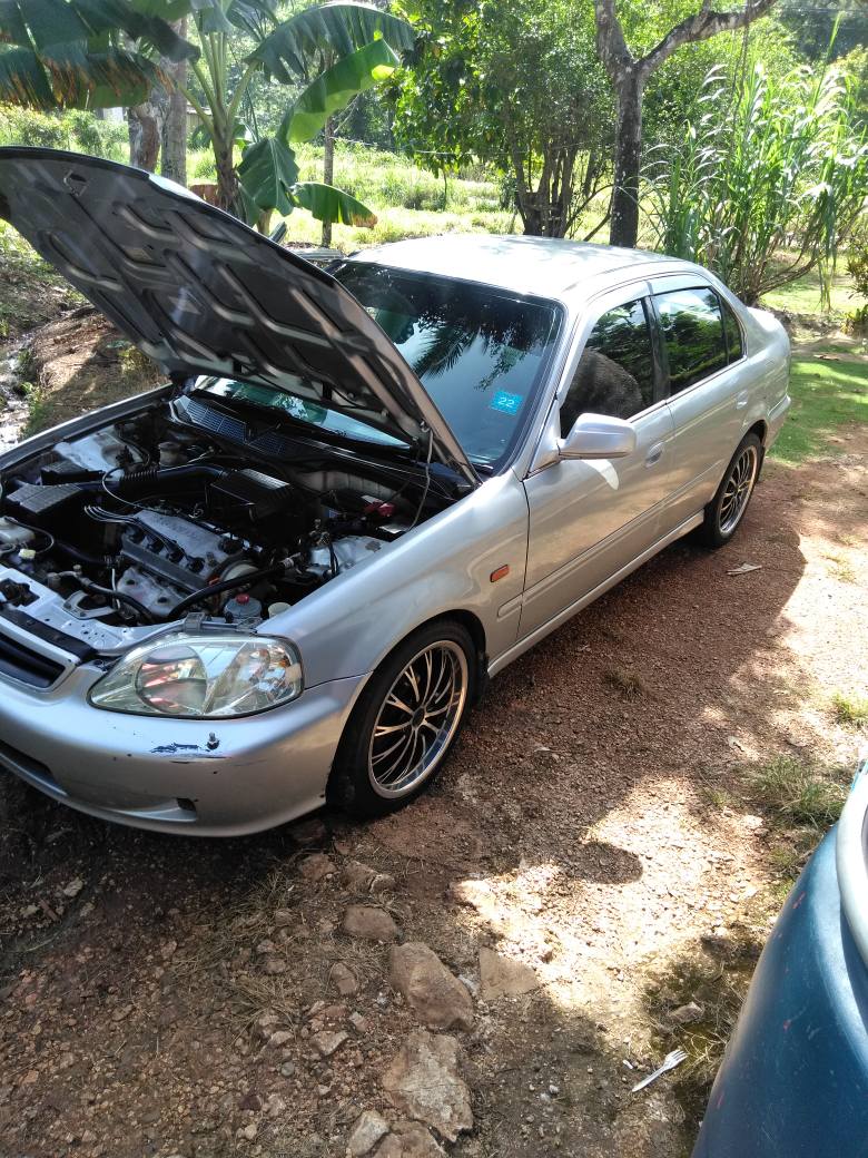 cars