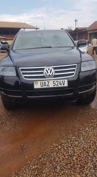 A picture of Touareg