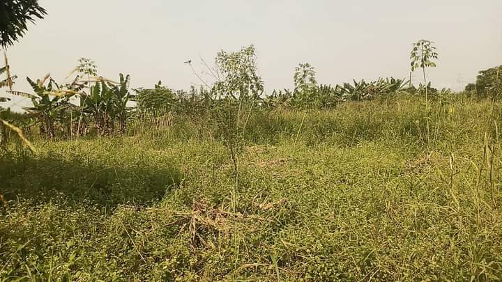 houses matugga