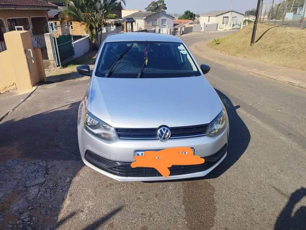 polo vivo