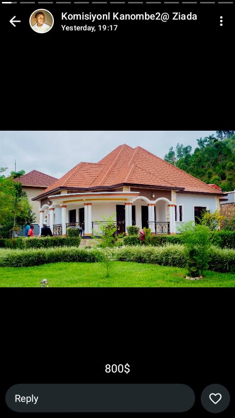 houses for rent