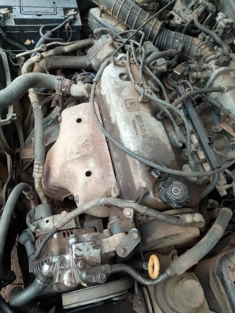 A picture of Honda accord 1999 model