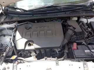 A picture of Belgium trade first body 2014 15 Corolla