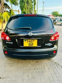 A picture of Nissan dualis