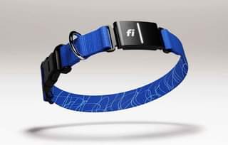 A picture of https shop.tryfi.com products smart collar v3 collarType standard color pink
