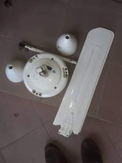 A picture of FENI PANGA BOY KUBWA 0767005012