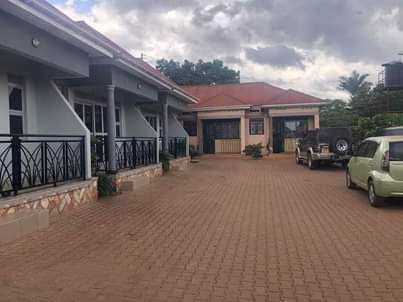 A picture of Katungi properties
