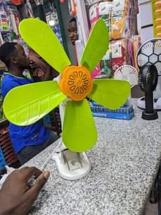 A picture of Feni ndogo