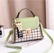 A picture of handbag