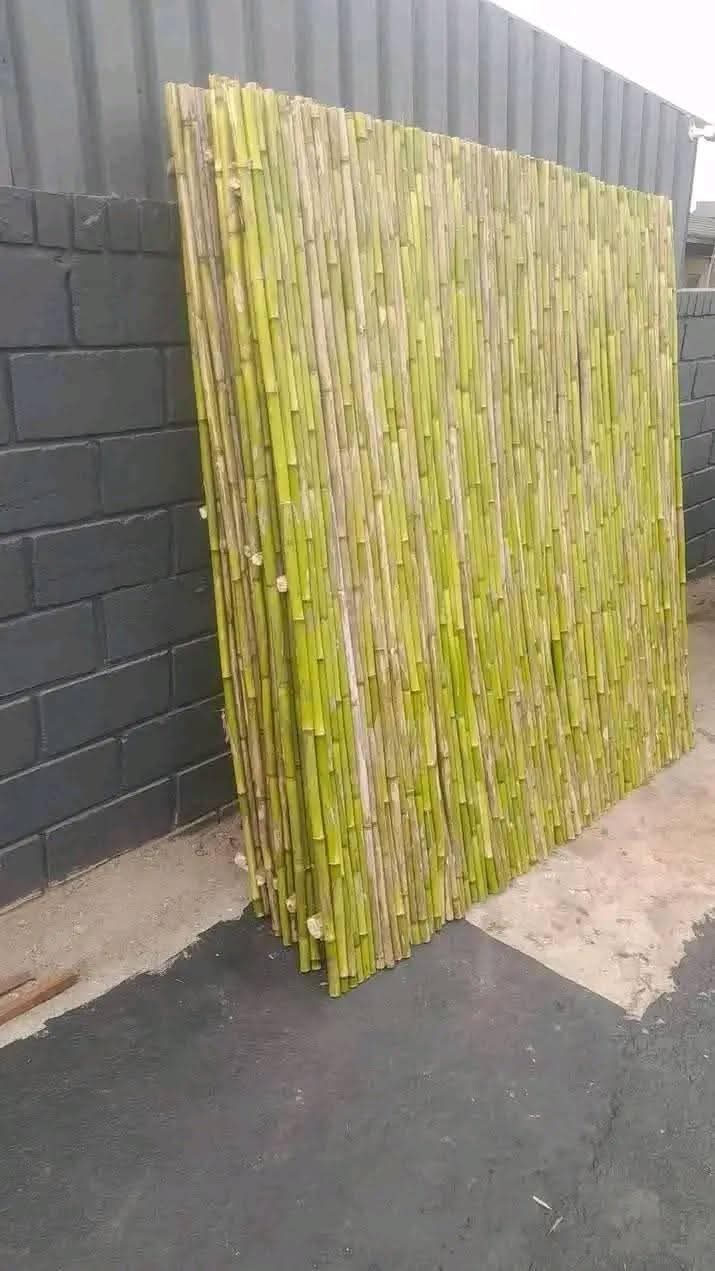 bamboo bed