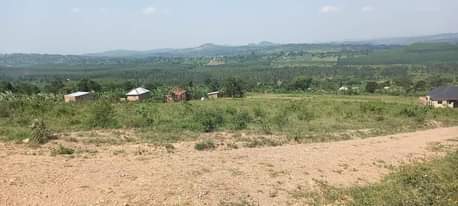 A picture of PLOTS FOR SALE LOCATED WAKISO KAKIRI ESTATE