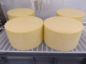 A picture of Mozzarella cheese