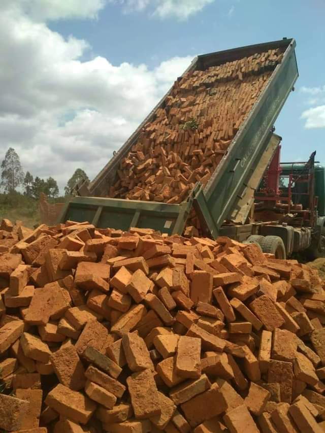 bricks