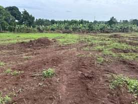 A picture of 50X100FT TITLED PLOTS FOR SALE