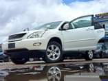 A picture of Harrier new model