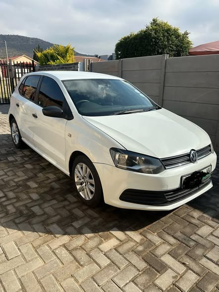 polo vivo
