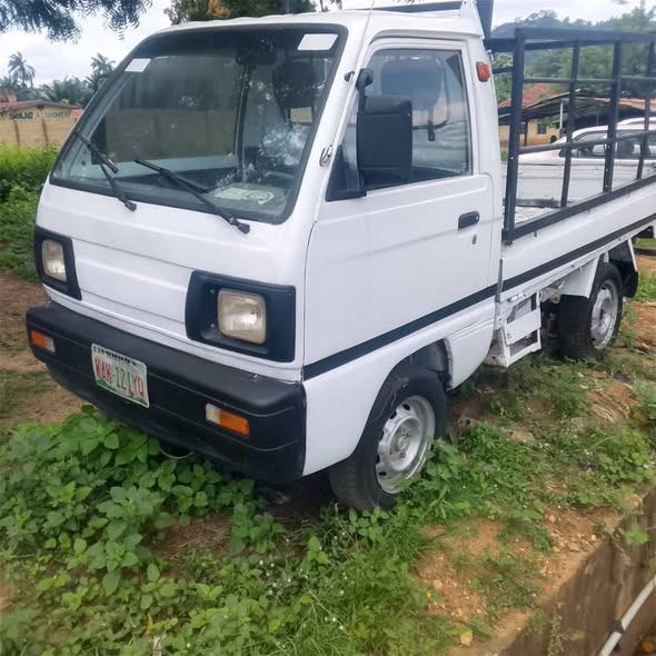 A picture of Suzuki Pickup