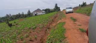 houses hoima
