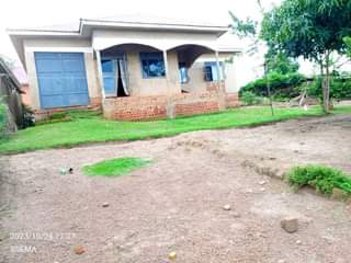 A picture of House
